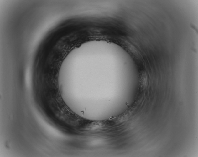 X0000097470764200803071653