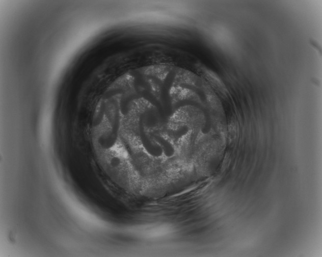X0000097470765200803071653