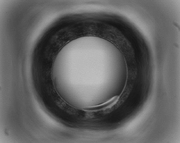 X0000097470766200803071653