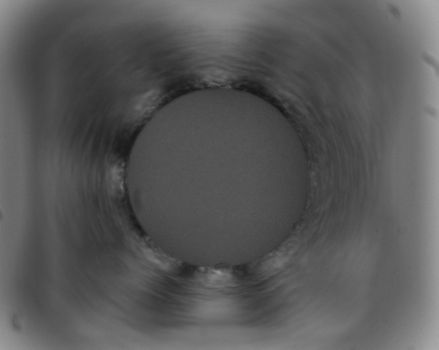 X0000097470768200803071653
