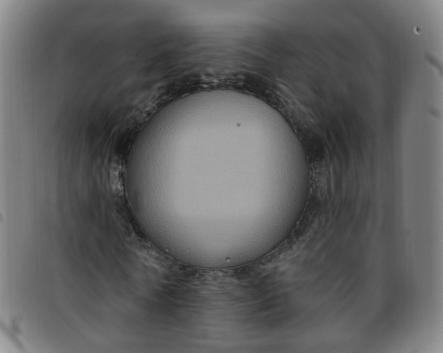 X0000097470770200803071653