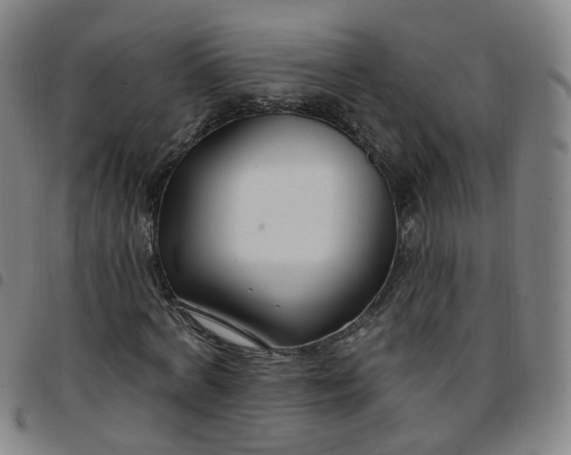 X0000097470772200803071653