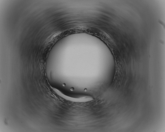 X0000097470773200803071653