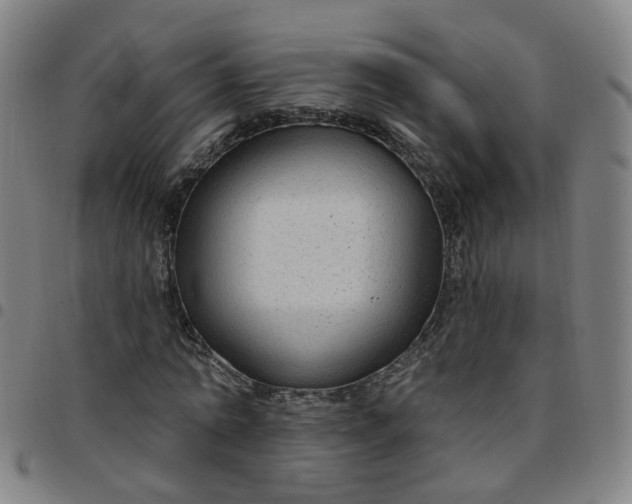 X0000097470774200803071652