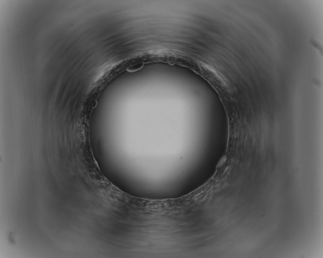 X0000097470776200803071652