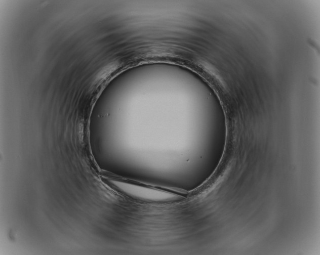 X0000097470777200803071652
