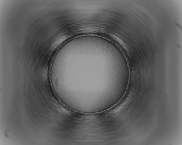 X0000097470778200803071652