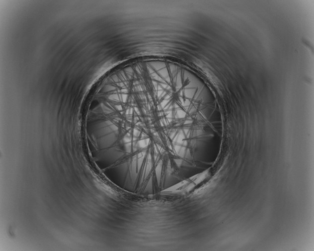 X0000097470779200803071652