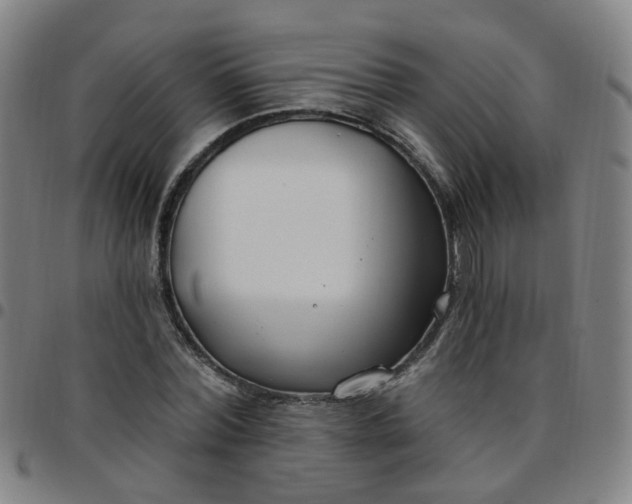 X0000097470780200803071652