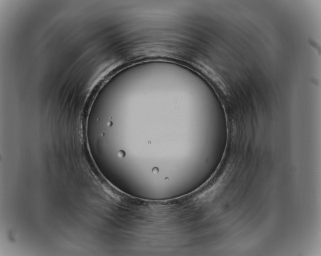 X0000097470782200803071652