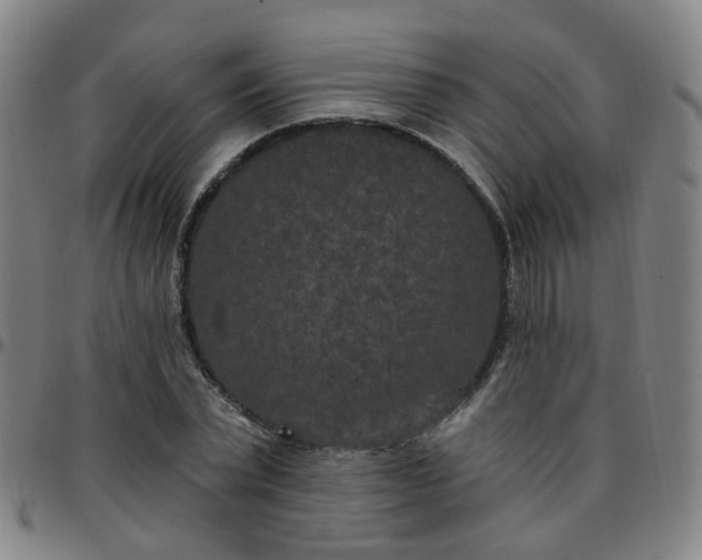 X0000097470783200803071652