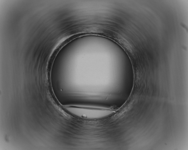 X0000097470784200803071652