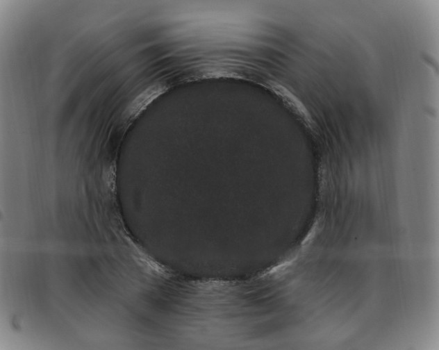 X0000097470785200803071652