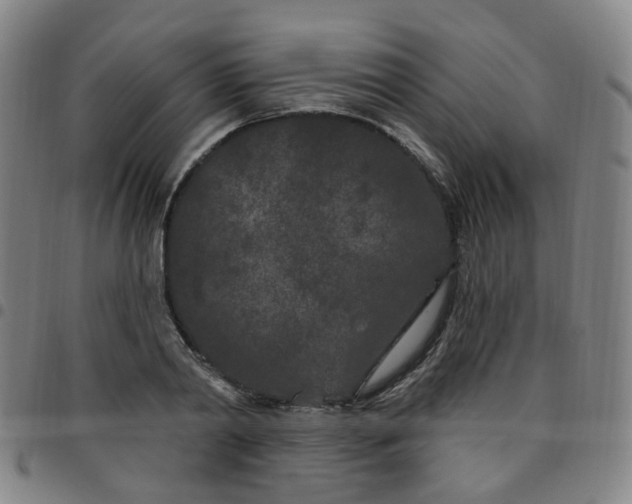 X0000097470790200803071652