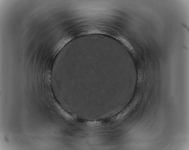X0000097470793200803071652
