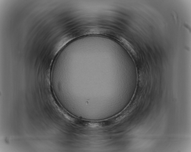 X0000097470794200803071652