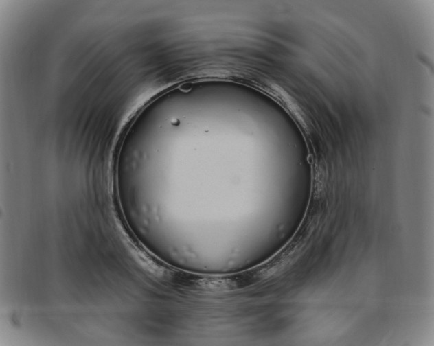 X0000097470795200803071652