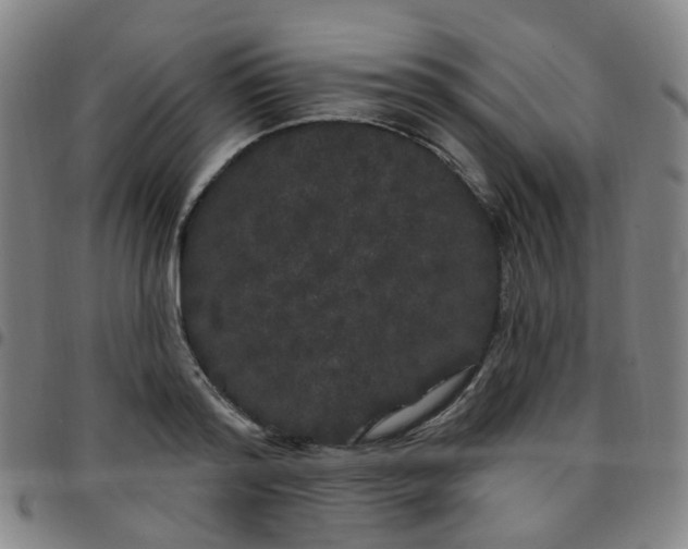 X0000097470796200803071652