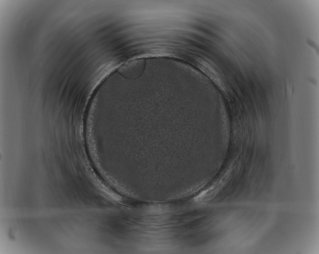 X0000097470797200803071652
