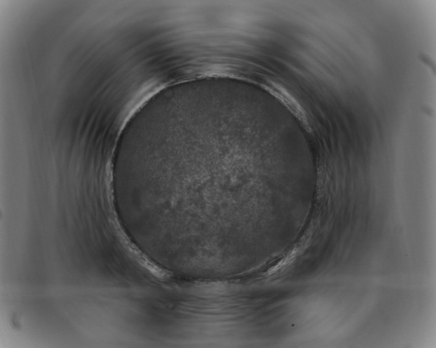 X0000097470798200803071652