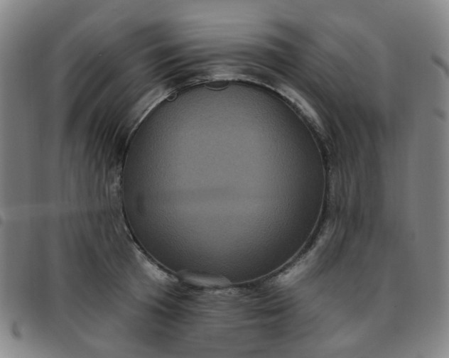 X0000097470801200803071652