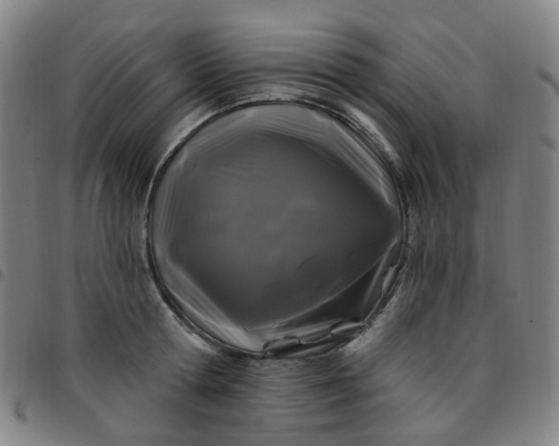 X0000097470802200803071652
