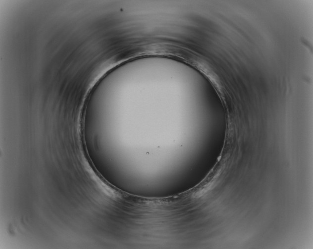 X0000097470803200803071652