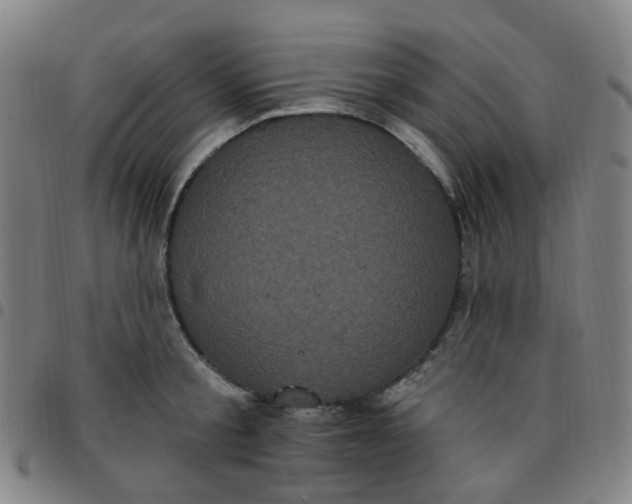 X0000097470805200803071652