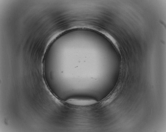X0000097470807200803071652
