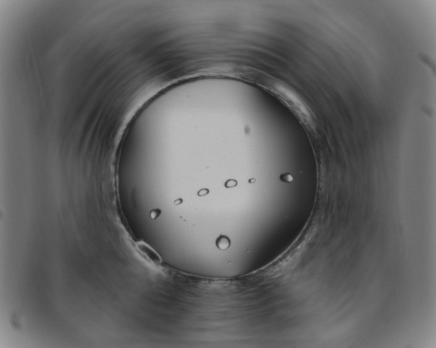 X0000097470808200803071652