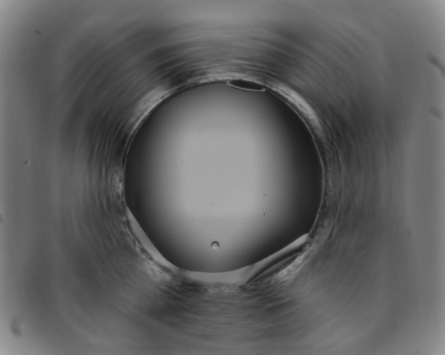 X0000097470809200803071652