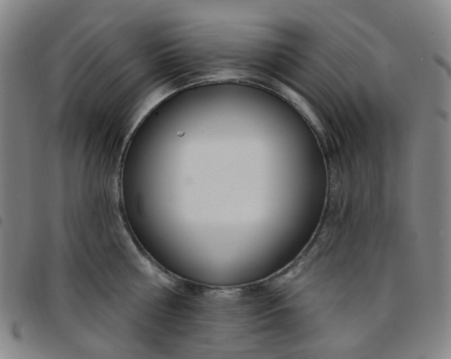 X0000097470810200803071652