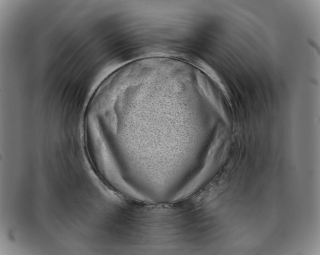 X0000097470811200803071652