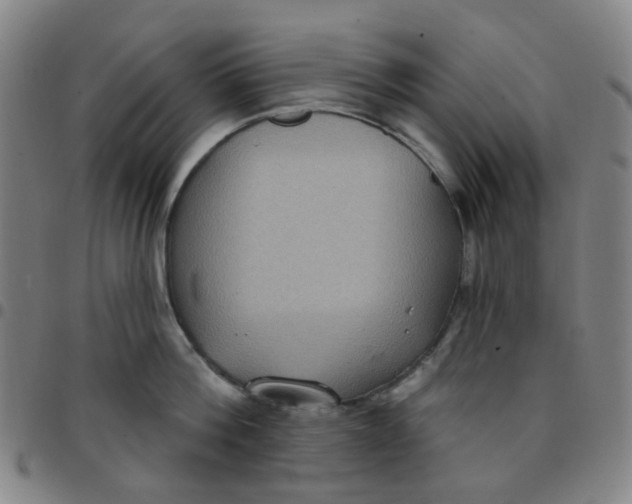 X0000097470812200803071652