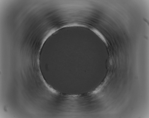 X0000097470813200803071652