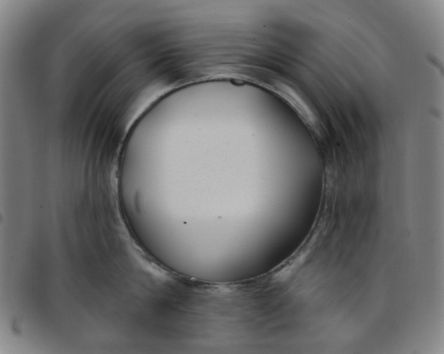 X0000097470814200803071652