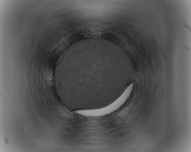 X0000097470818200803071651