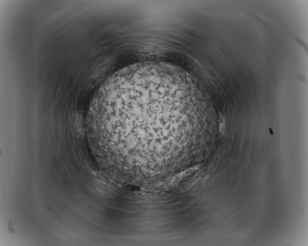 X0000097470819200803071651