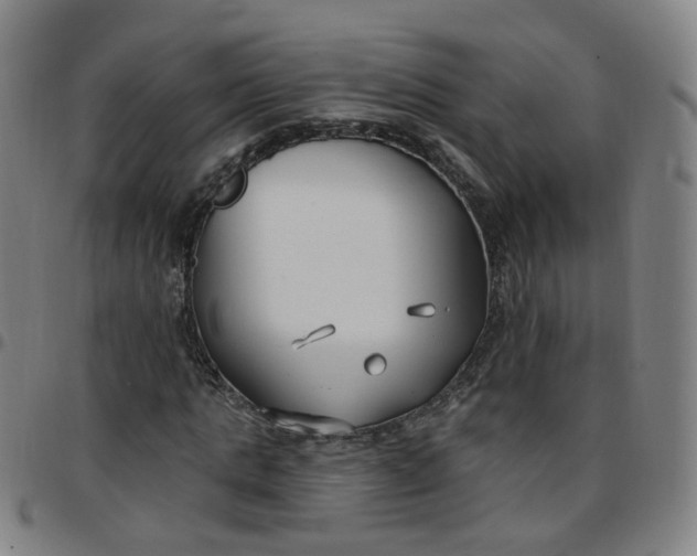 X0000097470821200803071651