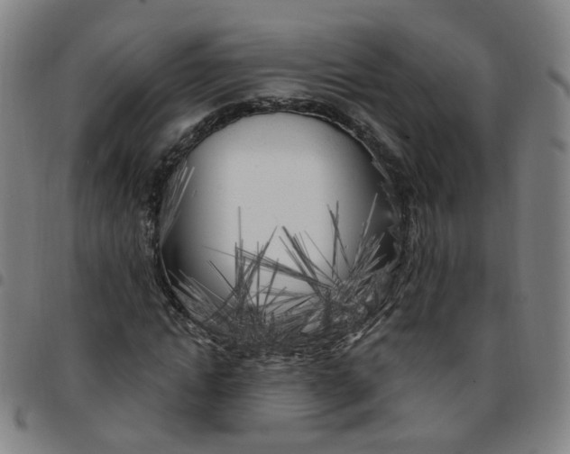 X0000097470822200803071651