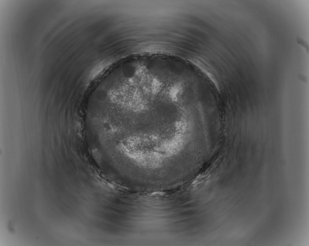 X0000097470823200803071651