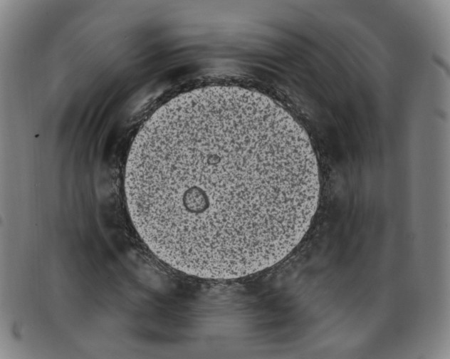 X0000097470824200803071651