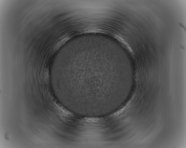 X0000097470825200803071651
