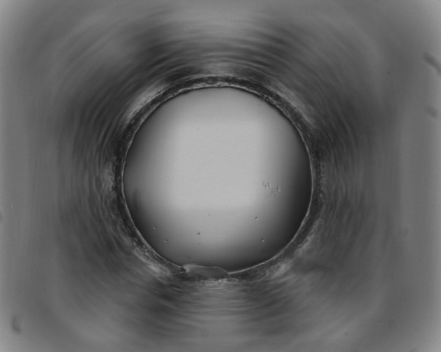 X0000097470826200803071651