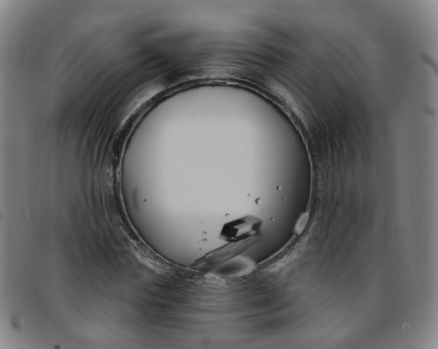 X0000097470827200803071651