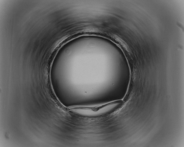 X0000097470829200803071651