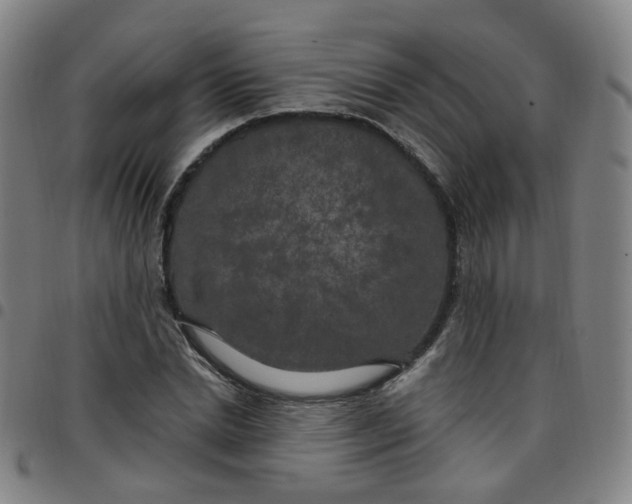 X0000097470830200803071651