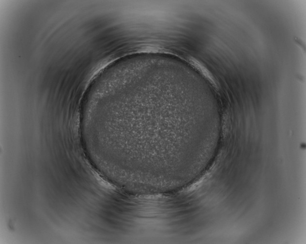 X0000097470831200803071651
