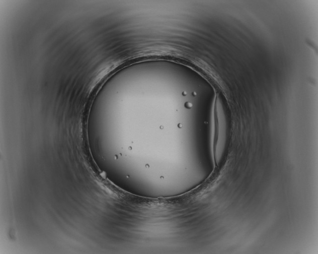 X0000097470834200803071651