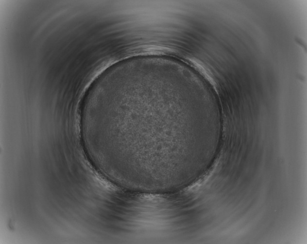 X0000097470835200803071651